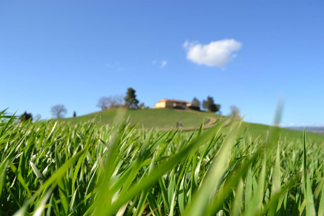 Poggio Alla Pietra 26 Porrona Exteriér fotografie